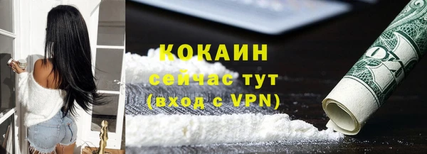хмурый Магас