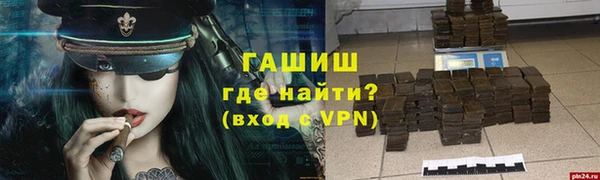 хмурый Магас