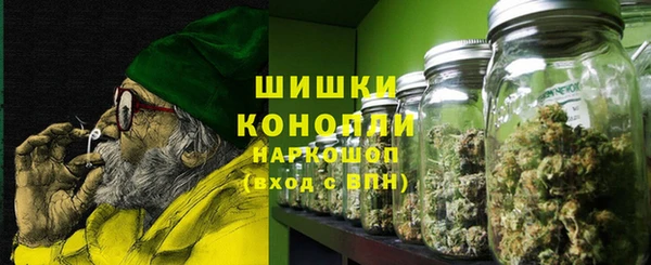 хмурый Магас