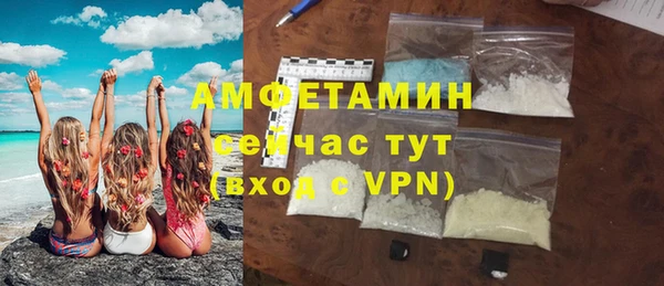 хмурый Магас