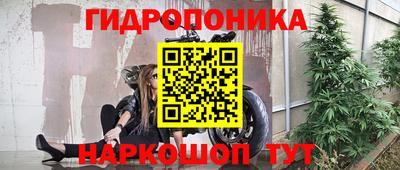 ГАЛЛЮЦИНОГЕННЫЕ ГРИБЫ Будённовск