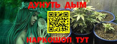 ГАЛЛЮЦИНОГЕННЫЕ ГРИБЫ Будённовск
