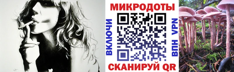 где продают   Владимир  Псилоцибиновые грибы мухоморы 