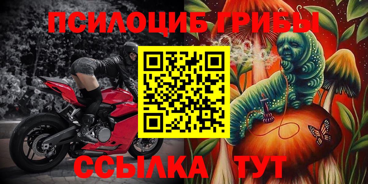 Вейп ТГК Владимир