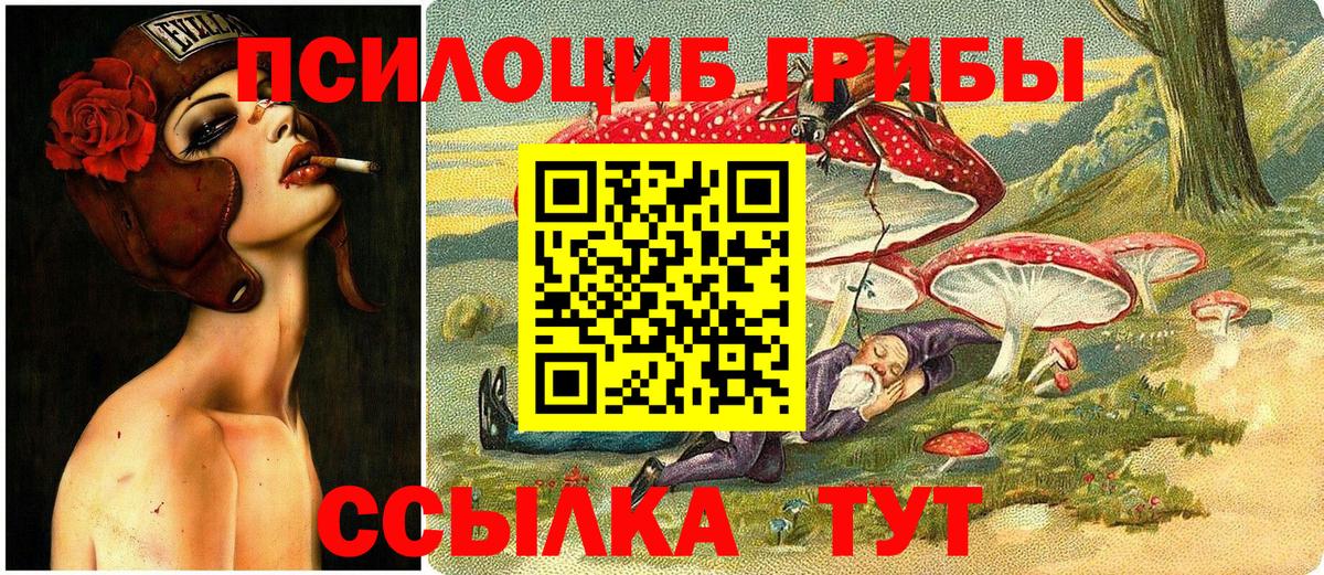 Галлюциногенные грибы ЛСД  где можно купить   Владимир  Вход с VPN 