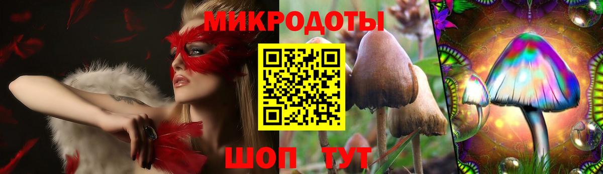 Галлюциногенные грибы ЛСД  Владимир 