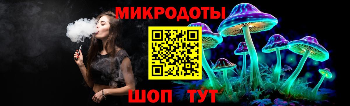 Псилоцибиновые грибы Cubensis Владимир