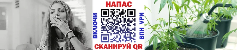 закладка  Владимир  Бошки марихуана OG Kush 